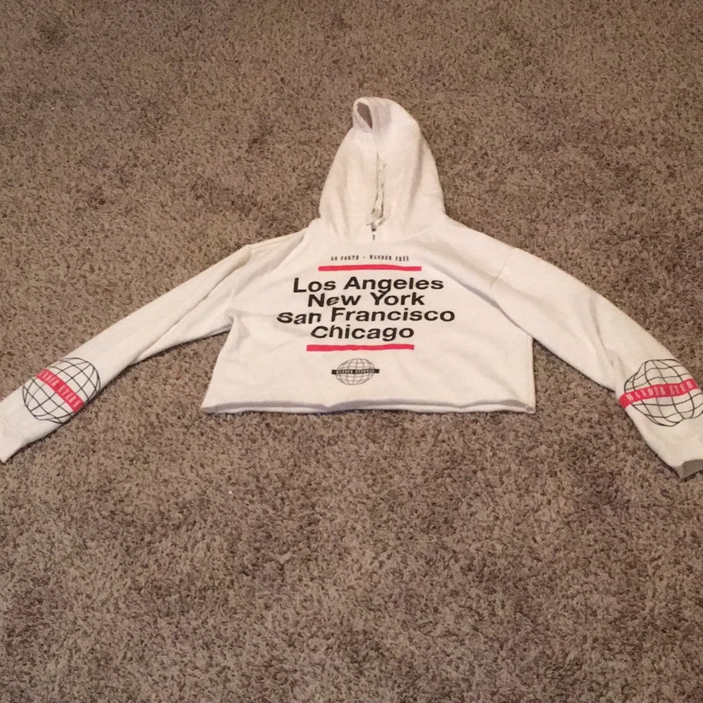 Long sleeved crop top hoodie